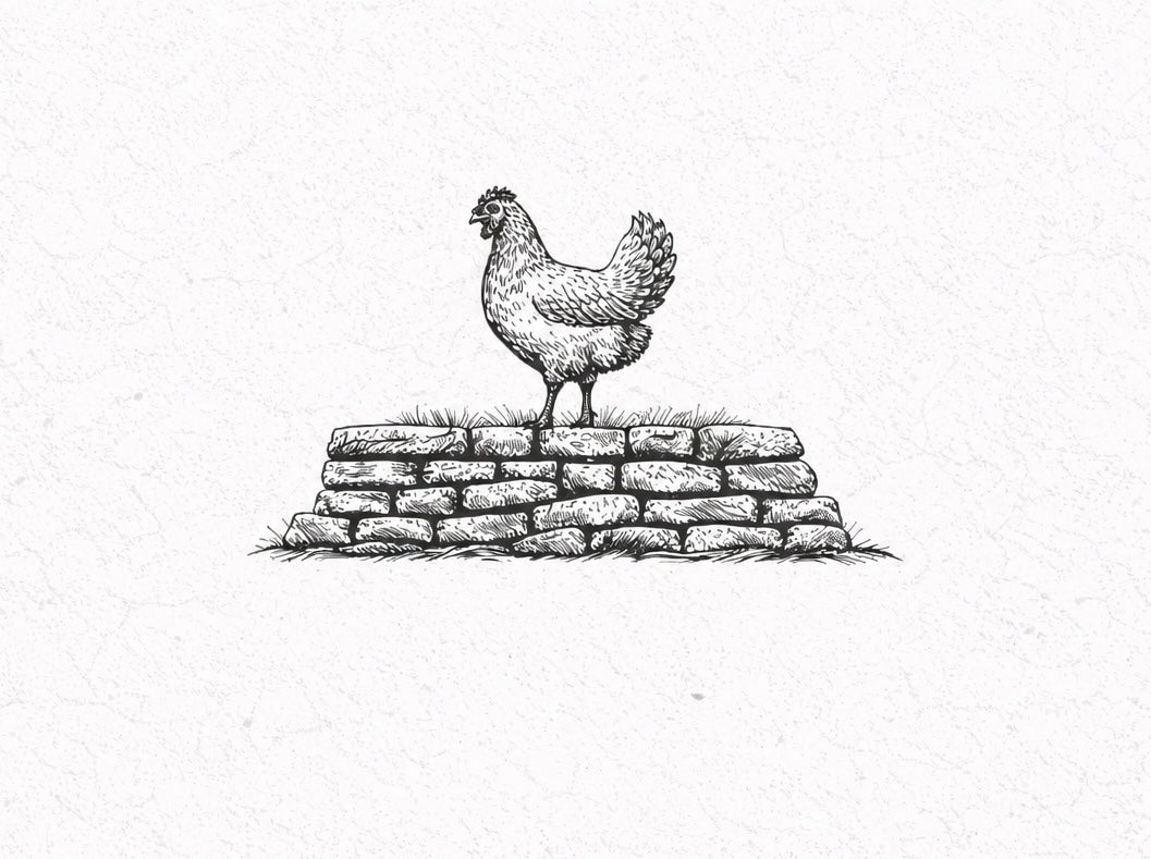 Pasture-Raised Chicken
