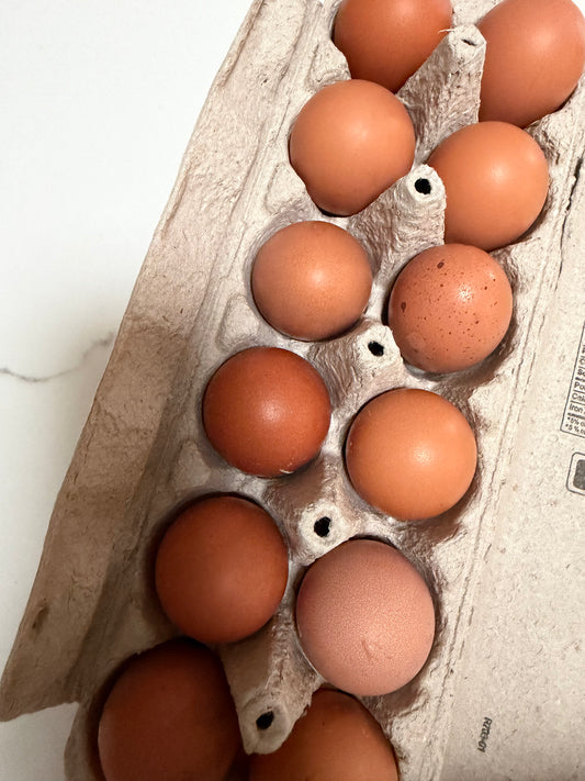 Pasture-Raised Eggs (Organic-Fed)