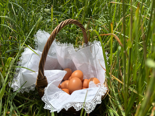 Pasture-Raised Eggs (Organic-Fed)